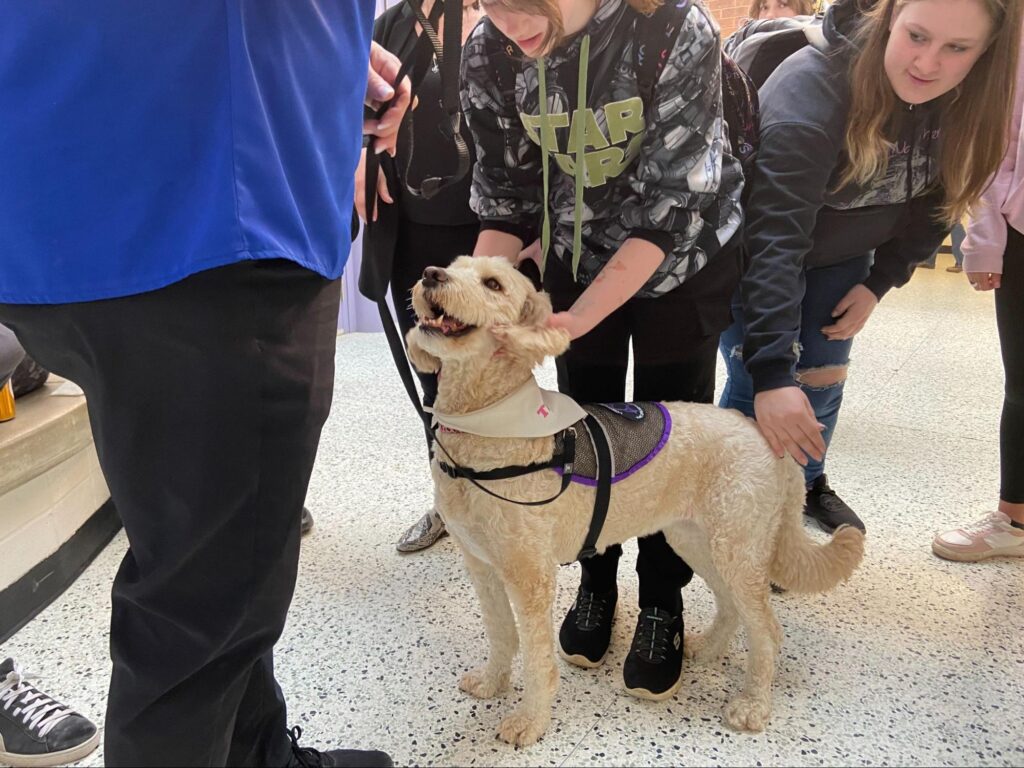 IEWSS hosts Mental Health Awareness Week